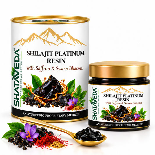 Shilajit Platinum Resin 20gm | Strength & Vitality Support