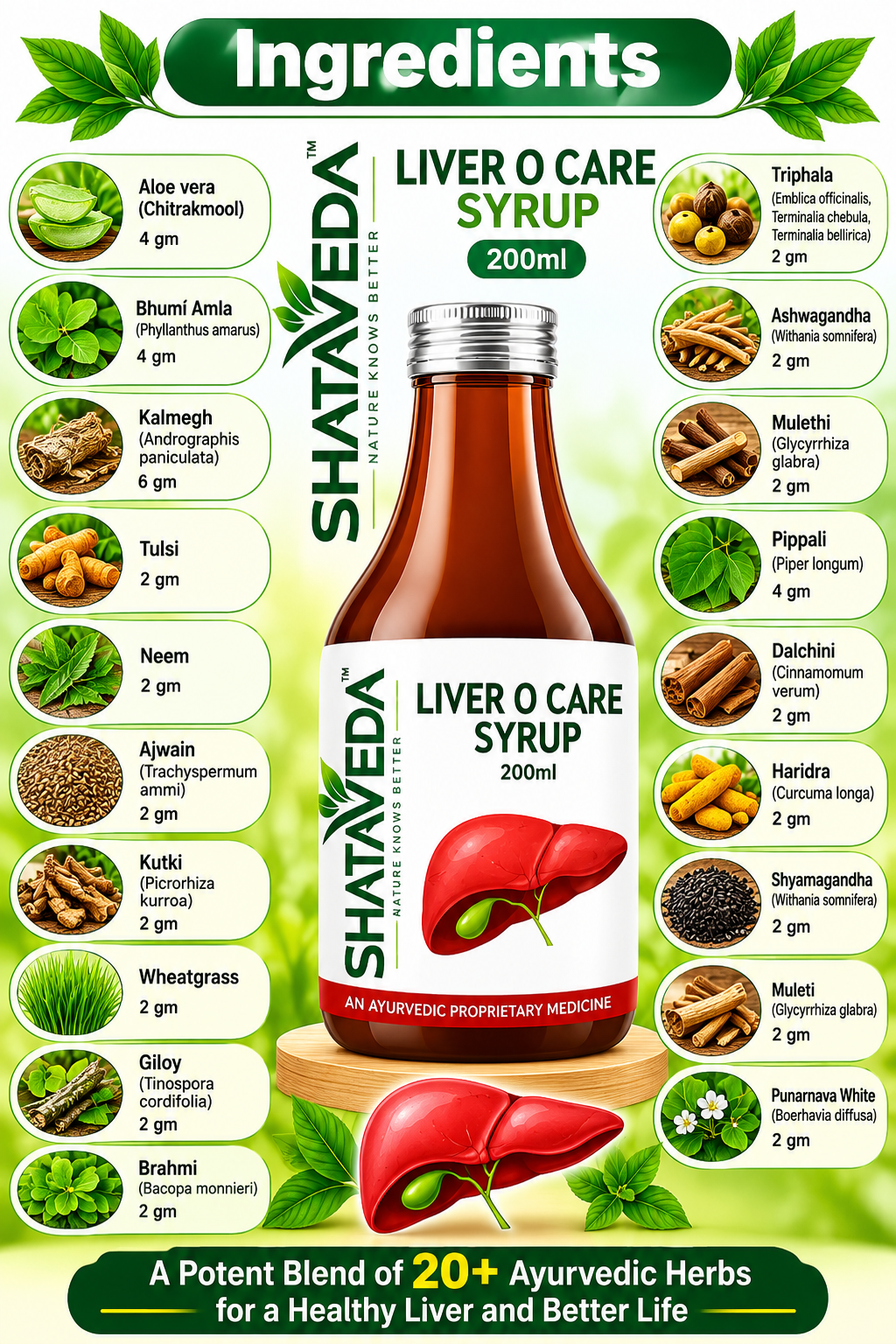 Liver O Care Syrup 200 ml | Liver & Digestive Wellness Support