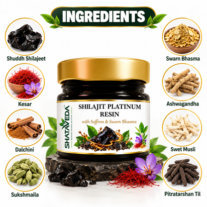 Shilajit Platinum Resin 20gm | Strength & Vitality Support